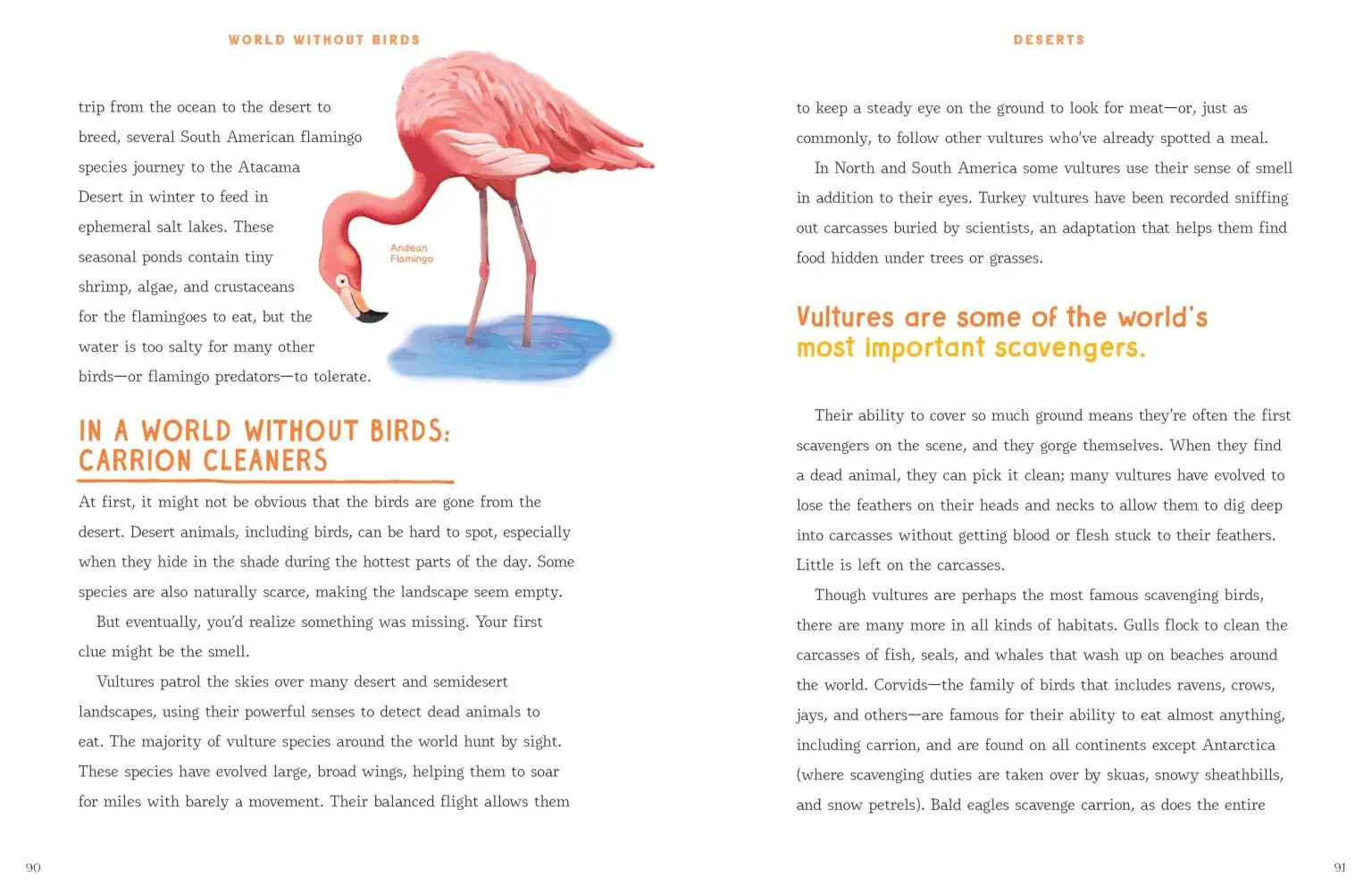 World Without Birds - Image 5
