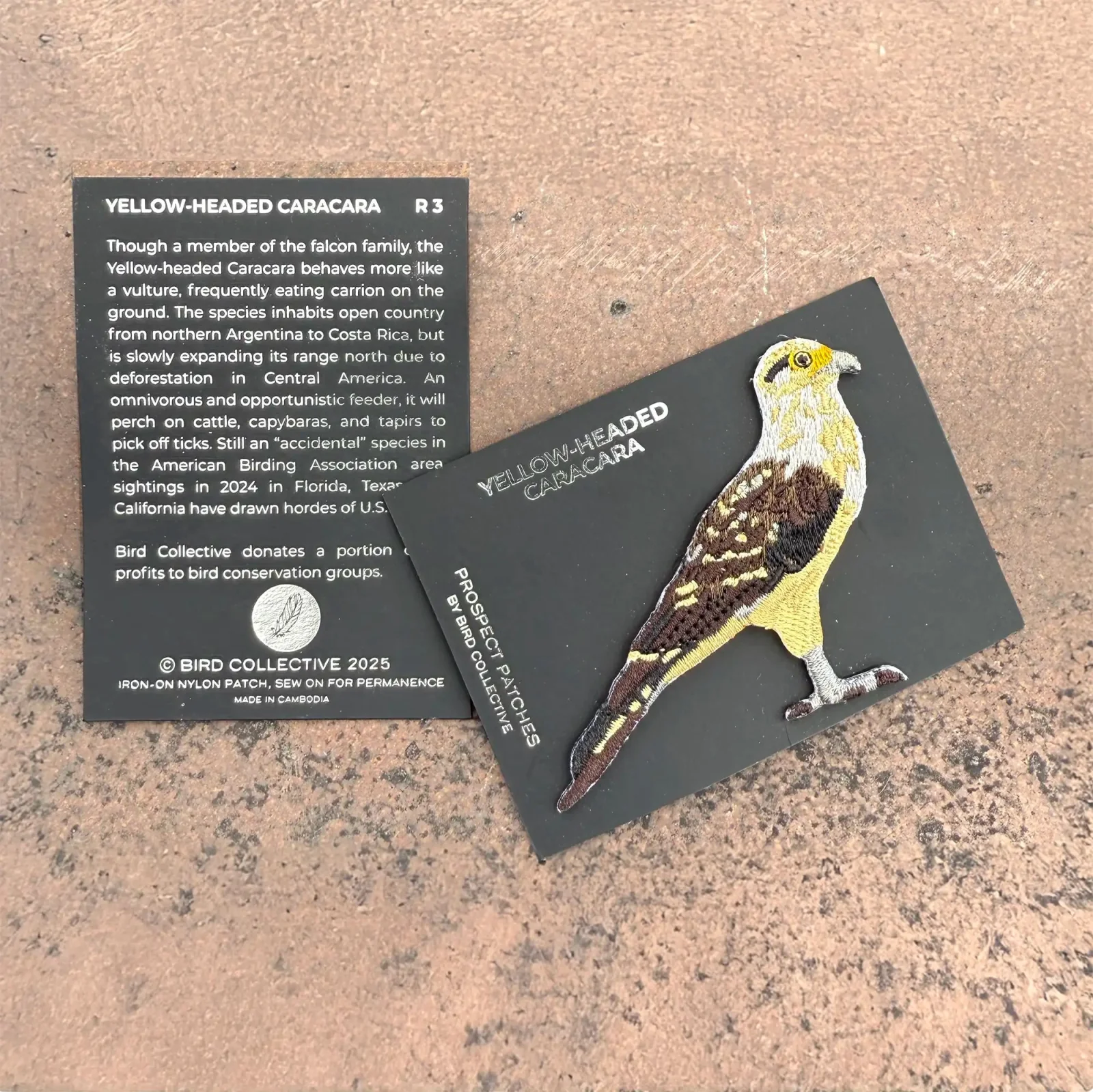 Yellow-headed Caracara Limited Edition Patch - Image 2